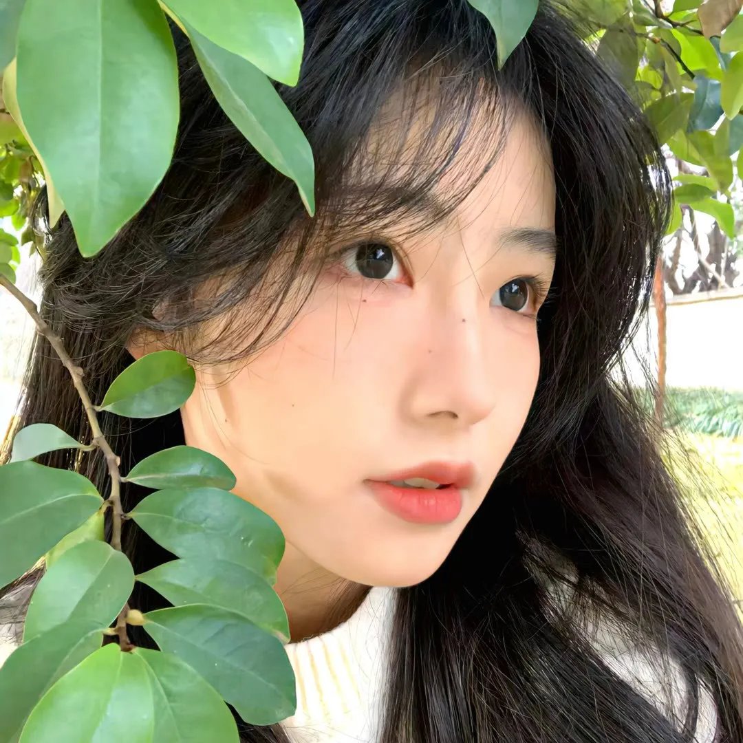 哦，我的宠妃大人